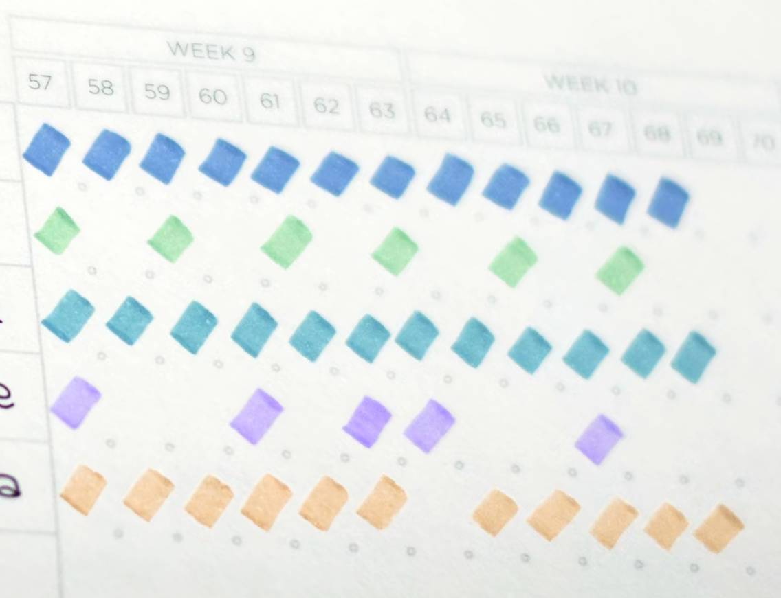 Color-coded calendar